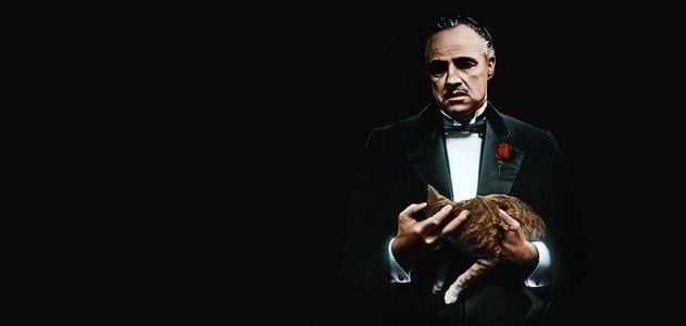 The Godfather: The Ultimate Crime Epic and 10 Similar Movies Worth Watching